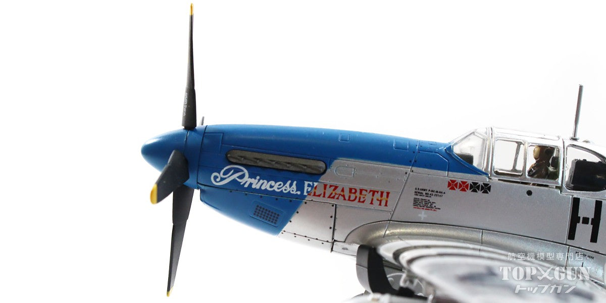 P-51C アメリカ陸軍航空軍 第352戦闘航空群 第487戦闘飛行隊 （保存機）2007年 #43-25147/NL487FS 「プリンセス・エリザベス」 1/48[HA8516]