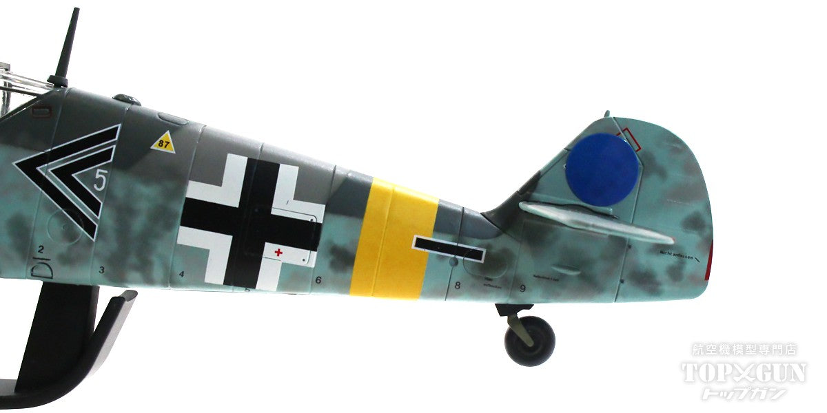 Bf109G-6 German Air Force No. 52 Fighter Wing No. 2 Squadron, Captain Gerhard Barkhorn's aircraft, September 1943, 1/48 [HA8758]