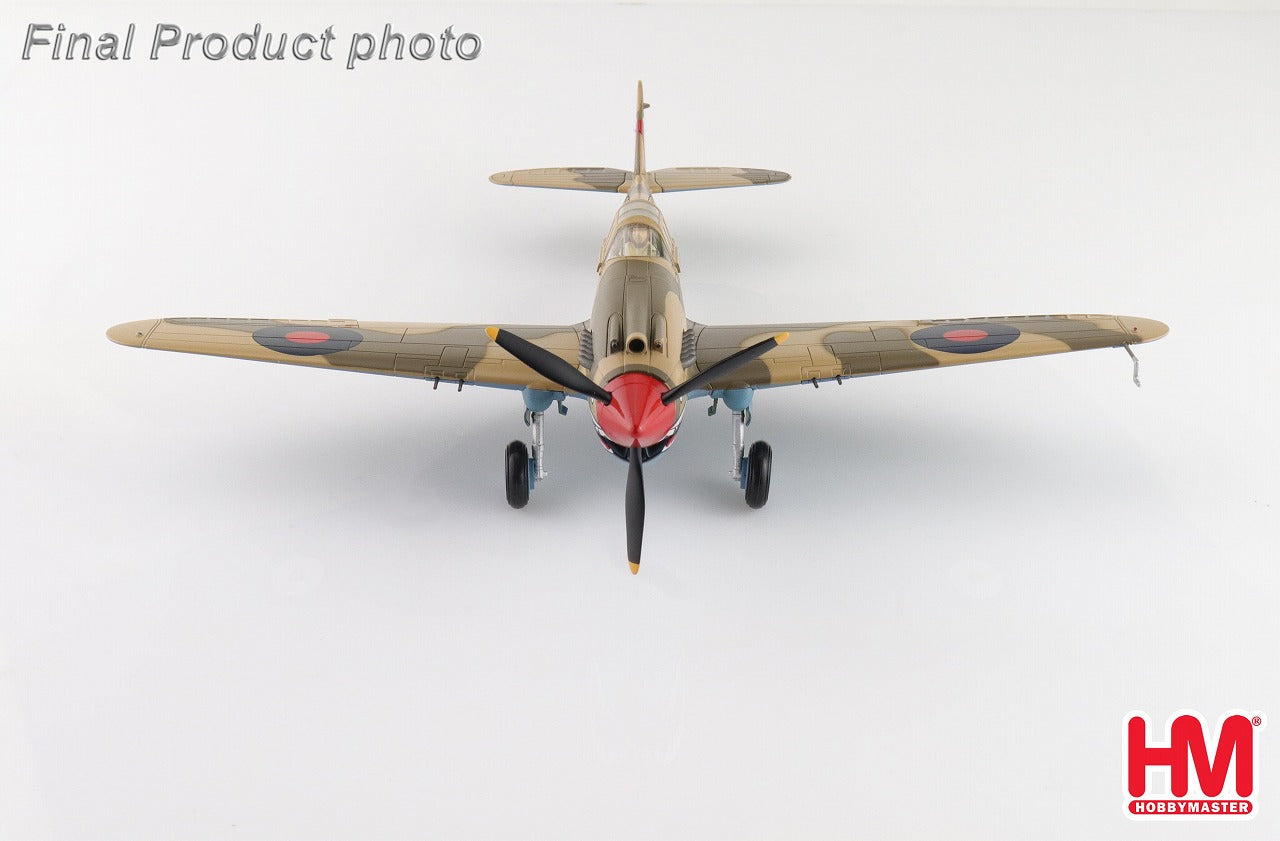 カーチス・ホークMk.2B イギリス空軍 「ネヴィル・デューク機」 1941年 1/48 [HA9205]