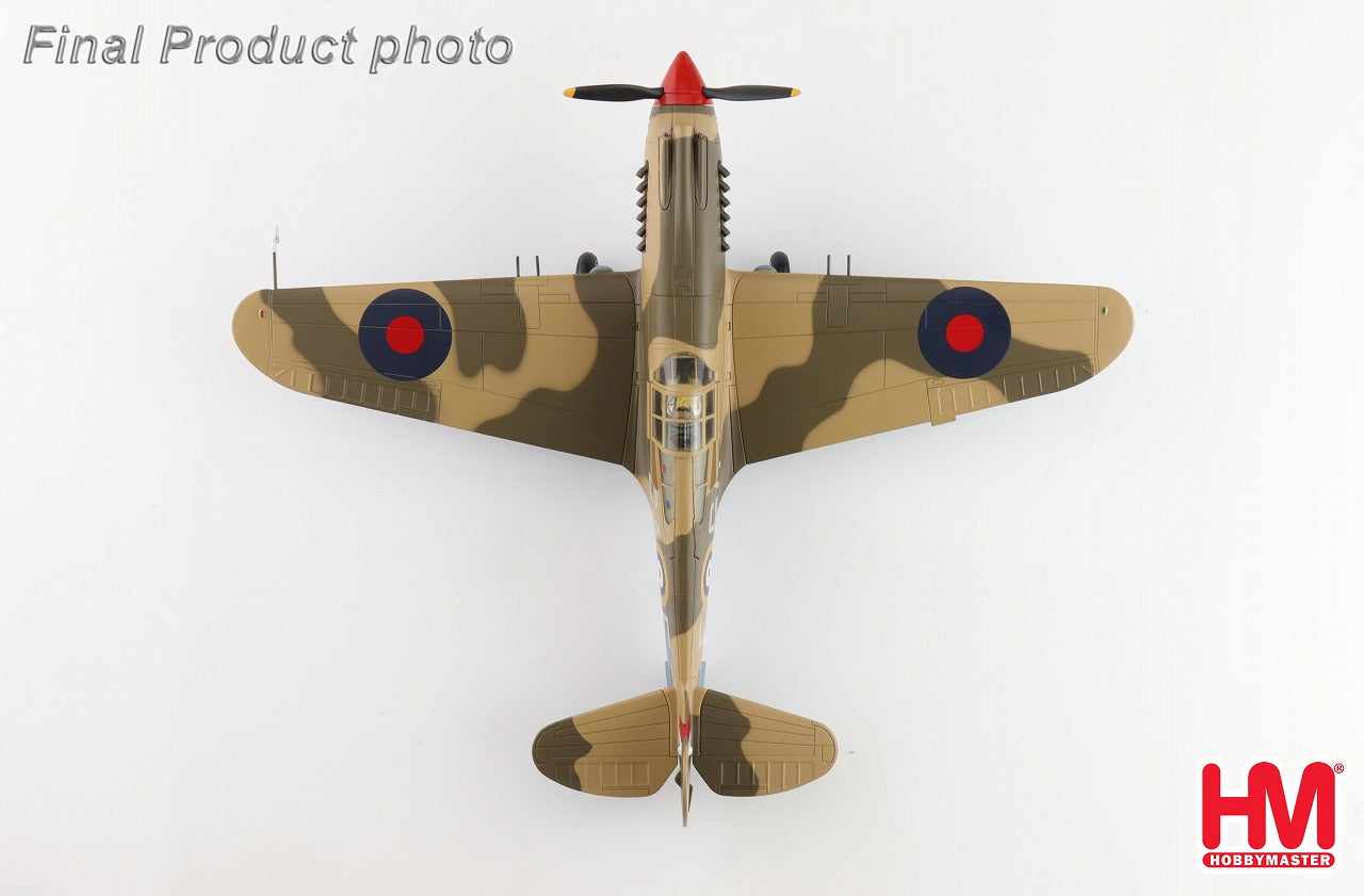 カーチス・ホークMk.2B イギリス空軍 「ネヴィル・デューク機」 1941年 1/48 [HA9205]