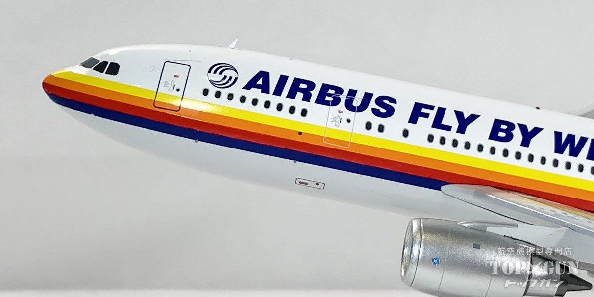InFlight200 A300B2-100 Airbus House Color 