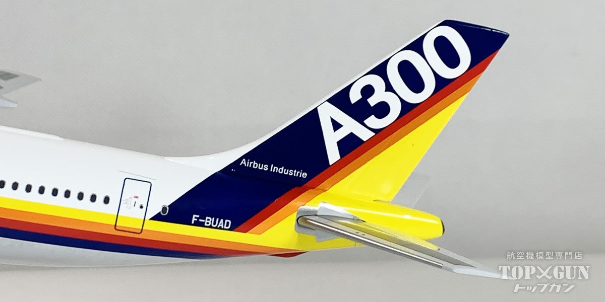 InFlight200 A300B2-100 エアバス ハウスカラー 「FLY BY WIRE