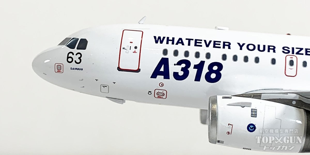 InFlight200 A318-100 エアバス ハウスカラー F-WWIB 1/200 [IF318WWIB]