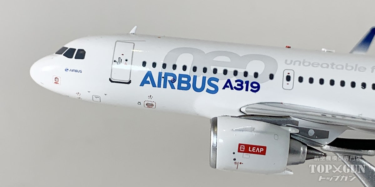 InFlight200 A319-100N エアバス ハウスカラー D-AVWA 1/200