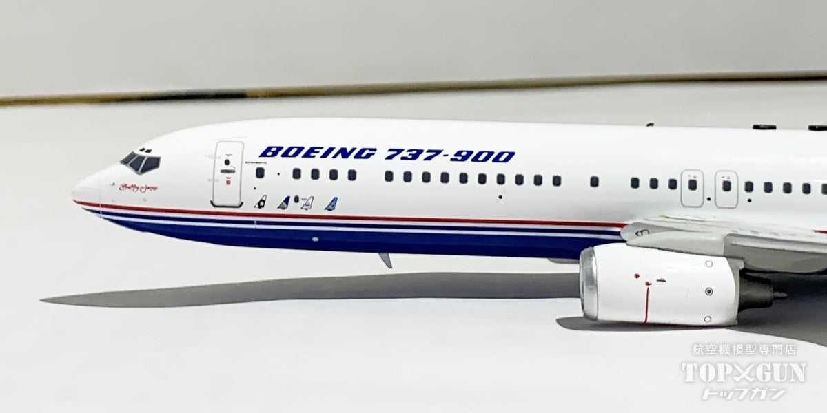 737-900 Boeing House Color N737X 1/200 [IF739737X] 