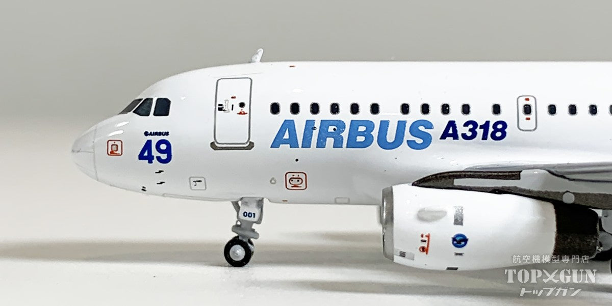 A318-100 エアバス ハウスカラー 「current colors with No.49 for PAS 2005」 F-WWIA 1/400 [NG48033]