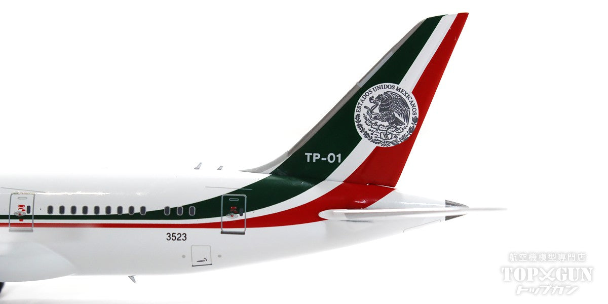 NG Models 787-8 メキシコ空軍 TP-01 1/400[NG59022]