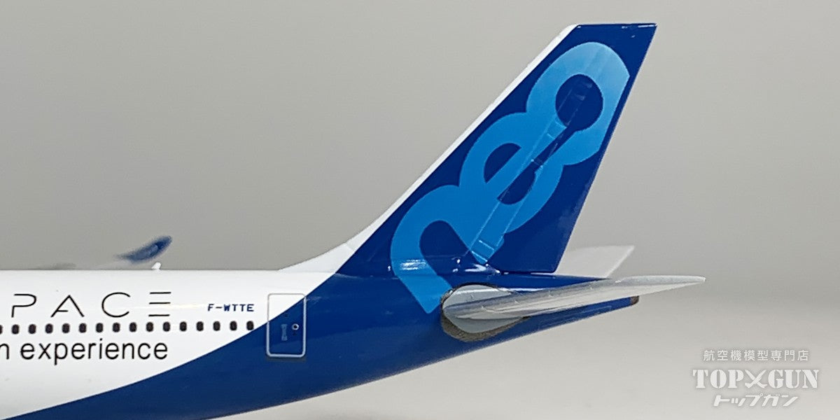 A330-900 エアバスハウスカラー F-WTTE 1/400 [NG68006]