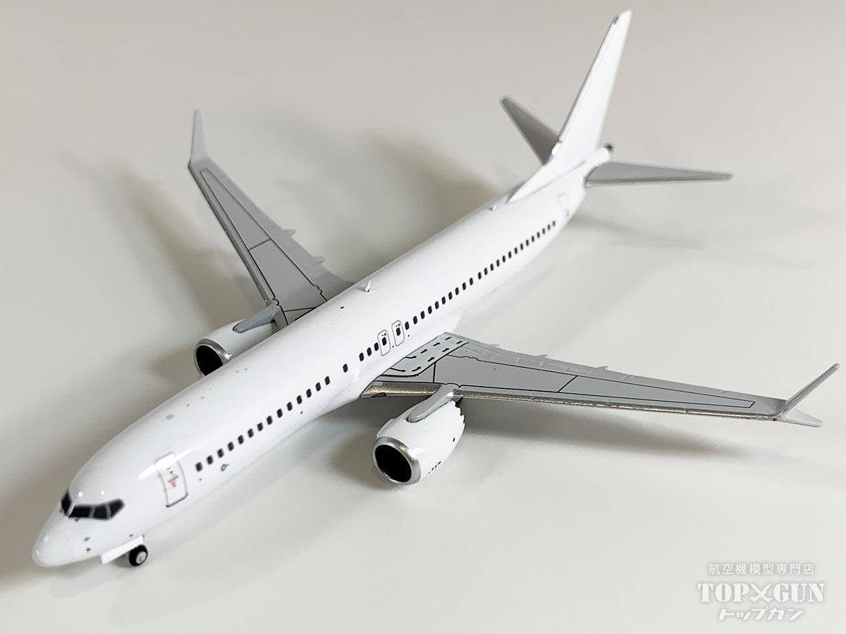 B737 MAX8 ホワイト 1/400 [NG88045]