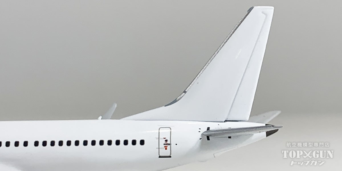 B737 MAX8 ホワイト 1/400 [NG88045]