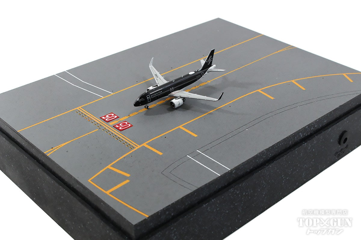 Roteiro Runway Reproduction of Haneda Airport Runway D RWY05 RHP/Right Side Diorama Fiber Optic Built-in Light-up Set