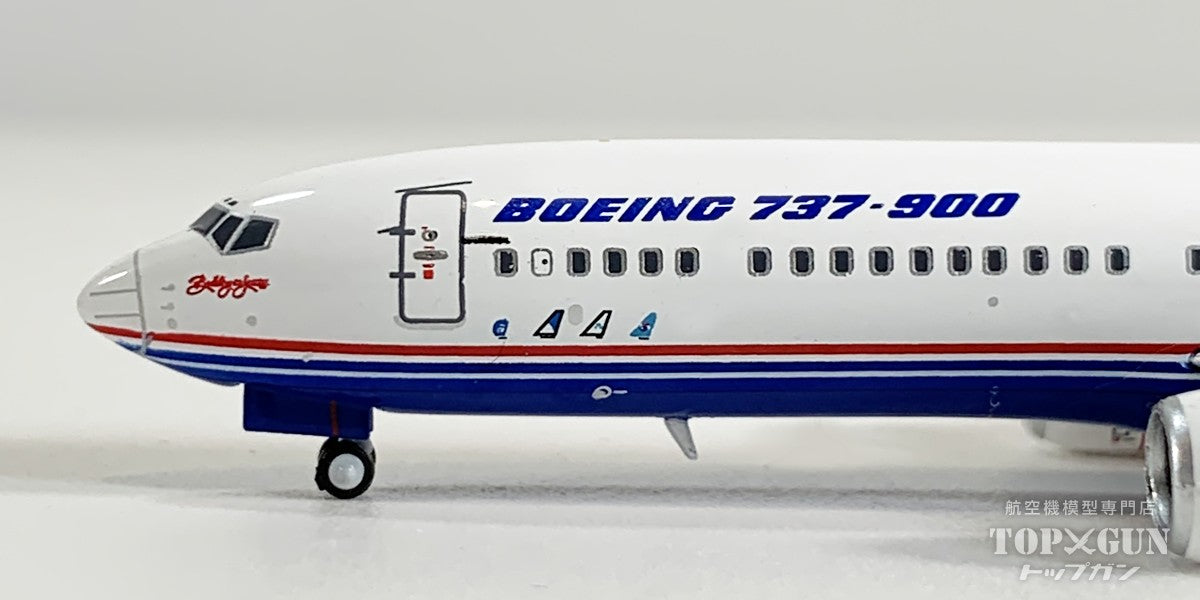B737-900 ボーイング ハウスカラー 「Technology Demonstrator」 N737X 1/400 [XX40349]