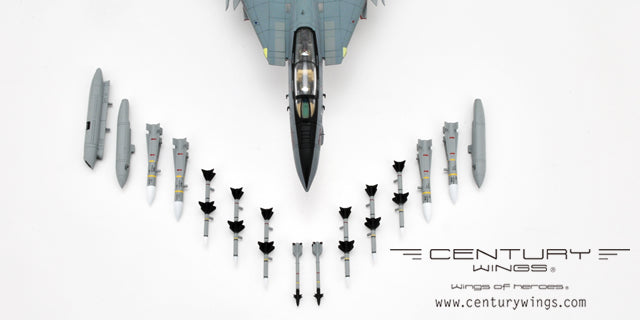 Century Wings F-14B アメリカ海軍 第11戦闘飛行隊 「レッド