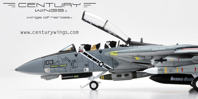 F-14B US Navy 103rd Fighter Squadron "Jolly Rogers" Special Paint "Santa Cat" 2000 AA103 1/72 *Flaps down, wings fixed [001613]