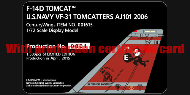 F-14D US Navy 31st Fighter Squadron "Tomcatters" on board the aircraft carrier Theodore Roosevelt 2006 AJ101 1/72 [001615]