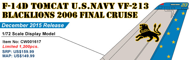 F-14D US Navy 213th Fighter Squadron "Black Lions" on final voyage aboard the aircraft carrier Theodore Roosevelt in 2006 AJ213 1/72 [001617]