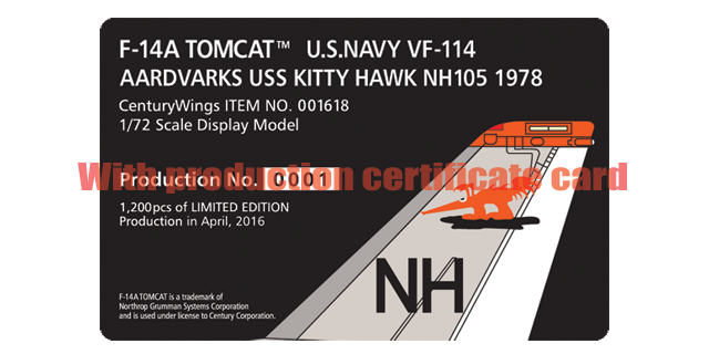 F-14A US Navy 114th Fighter Squadron "Aardvarks" on board the aircraft carrier Kitty Hawk in 1978 NH105 1/72 [001618]
