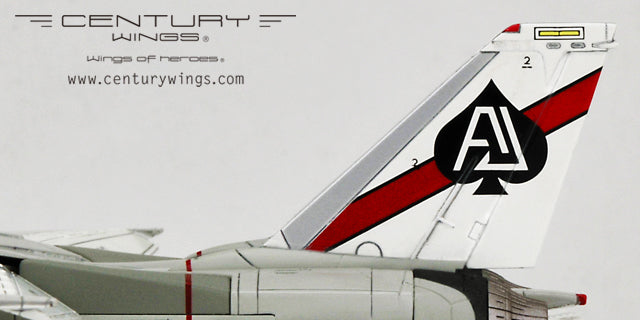 Century Wings F-14A US Navy 41st Fighter Squadron 