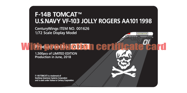 F-14B US Navy 103rd Fighter Squadron "Jolly Rogers" on board the aircraft carrier Dwight D. Eisenhower, 1998, AA101, 1/72 [001626]