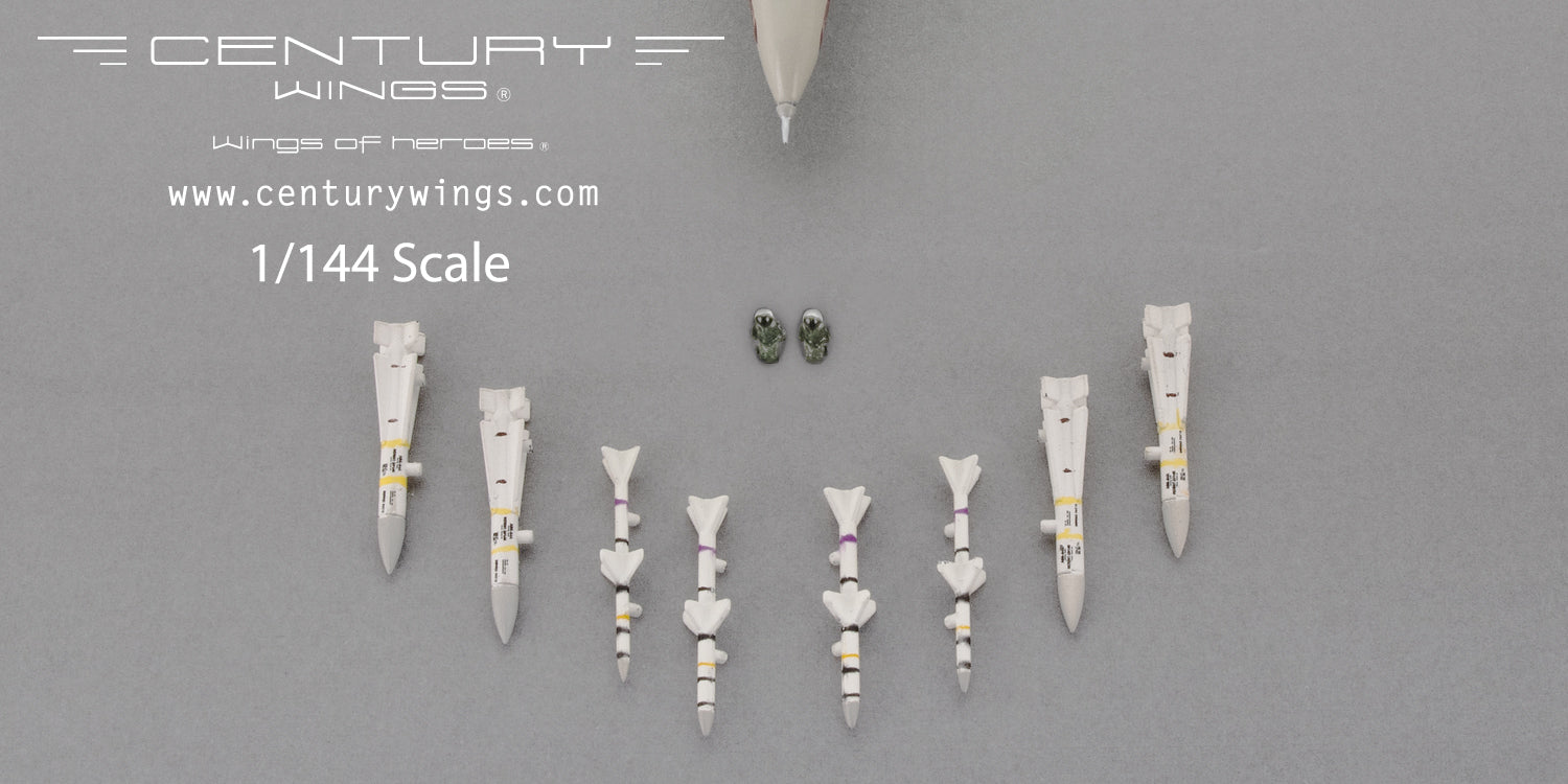 F-14A US Navy 1st Fighter Squadron "Wolfpack" Special Paint 1991 NE100 1/144 [001629]