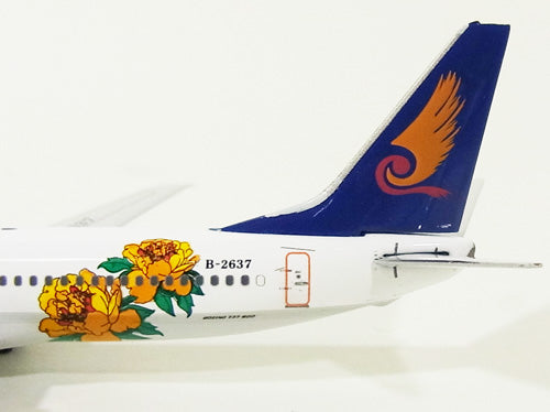 Phoenix 737-800 Hainan Airlines special livery circa 06-07 B-2637