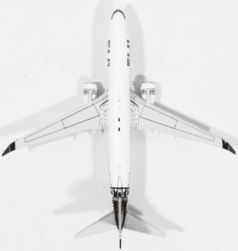 737-800w フィジー・エアウェイズ DQ-FJG 1/400 [10904]