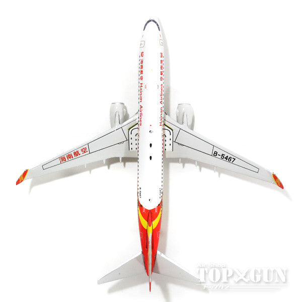 737-800w Hainan Airlines Special Painting "Little Door Gods" 16 Year B-5467 1/400 [11252]