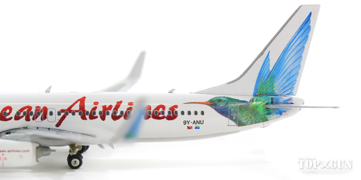 カリビアン航空 Aviationtag B737-800 Caribbean flair at Aviationtag!