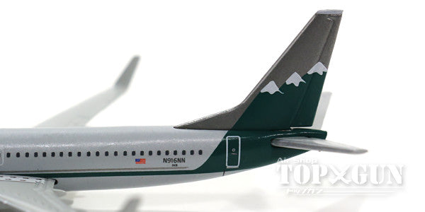 Herpa Wings 737-800w アメリカン航空 特別塗装 「リノエア復刻