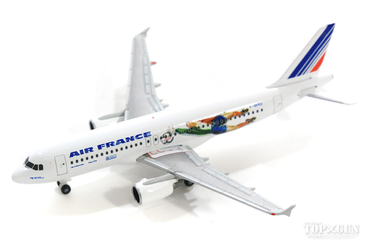 AIR FRANCE A380 特別塗装モデル AIR FRANCE A380 特別塗装モデル