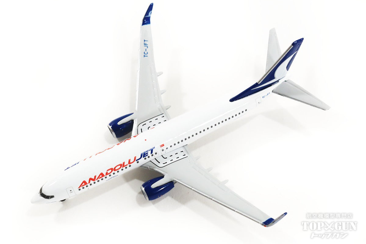 1/100 ジェット機模型 TURKISH AIRLINE B737-800-