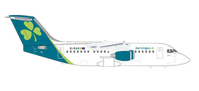 RJ85 Aer Lingus n/c "St Modwena/Moninne" EI-RJI 1/200 *Made of metal [559928]