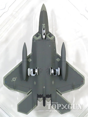 Hogan Wings F-22Aラプター アメリカ空軍 第325戦闘航空団 第43戦闘 