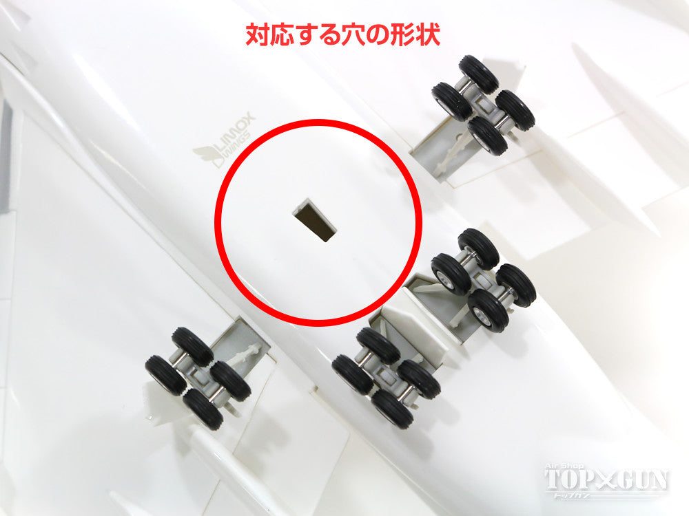 Hogan Wings Hogan Wings専用ディスプレイスタンド 三脚 (大) 1/200