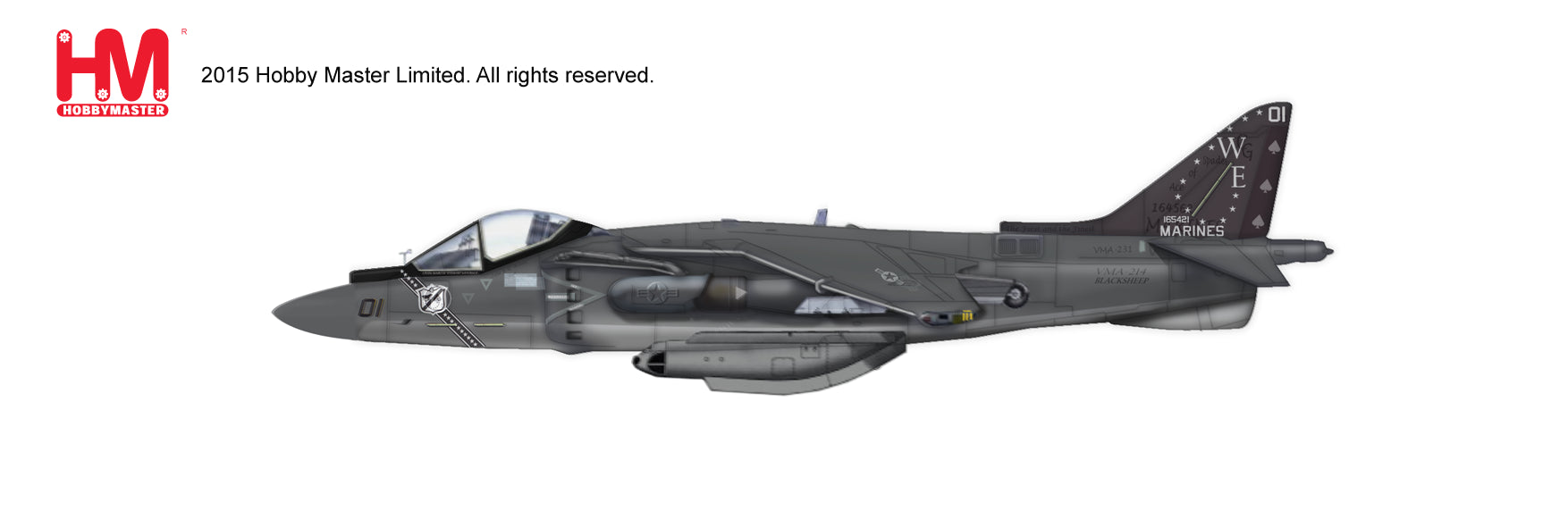 AV-8B Harrier II+ USMC 214th Marine Attack Squadron "Black Sheep" Yuma Air Base March 2010 WE01 1/72 [HA2618]