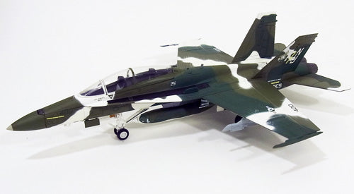 F/A-18D (two-seater) US Navy 125th Fighter Attack (Conversion) Squadron "Rough Raiders" 2008 NJ400 1/72 [HA3513]