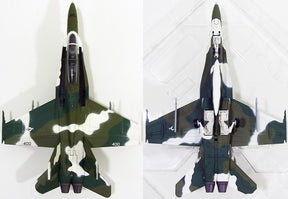 F/A-18D（複座型） アメリカ海軍 第125戦闘攻撃（機種転換）飛行隊 「ラフ・レイダーズ」 08年 NJ400 1/72 [HA3513]