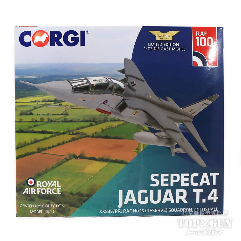 Jaguar T4 XX838 No.16(R) Squadron Cortis Hall 1/72 [AA35415]