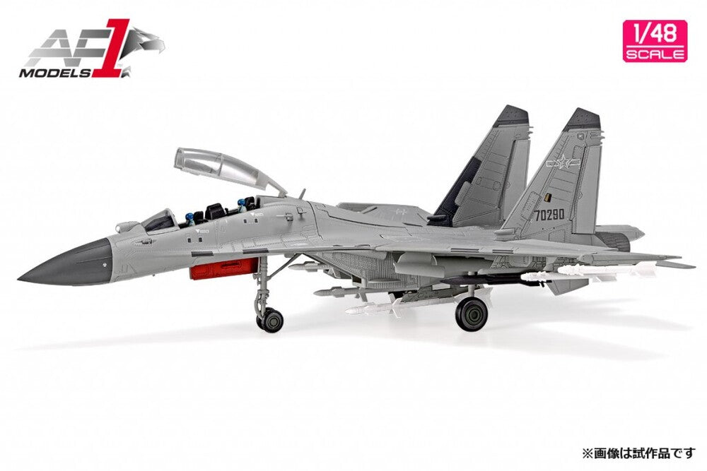 Shenyang J-16 (J-16) Chinese Air Force 1/48 [AF0059]