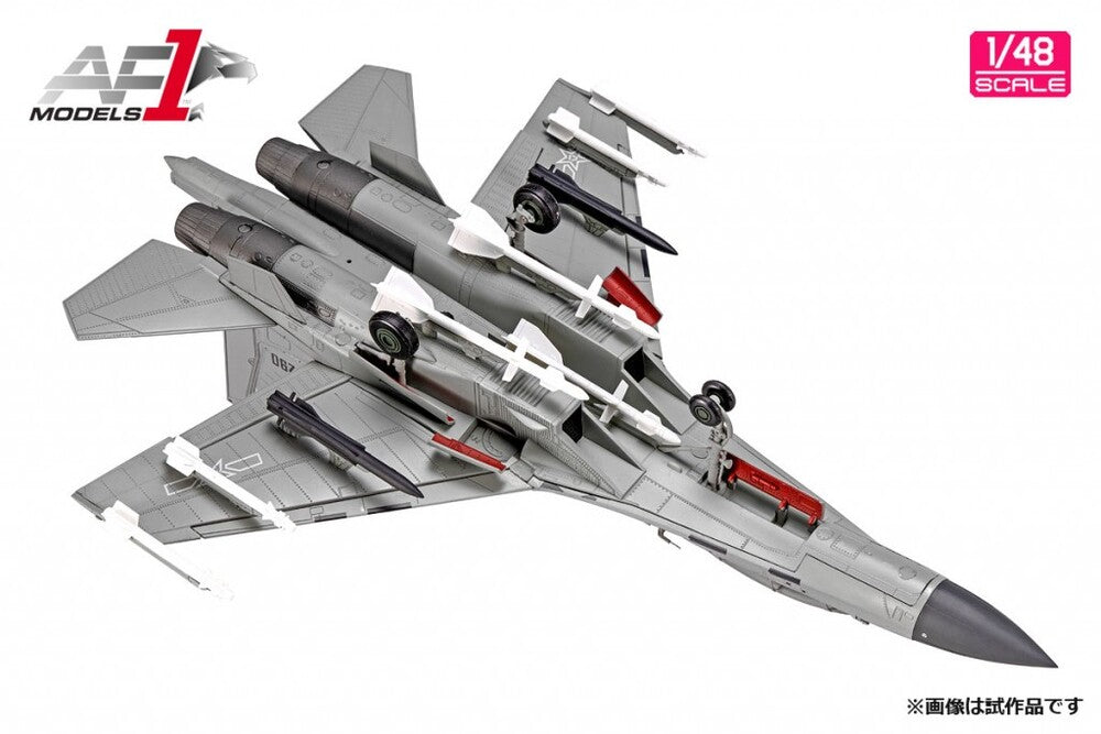 Shenyang J-16 (J-16) Chinese Air Force 1/48 [AF0059]