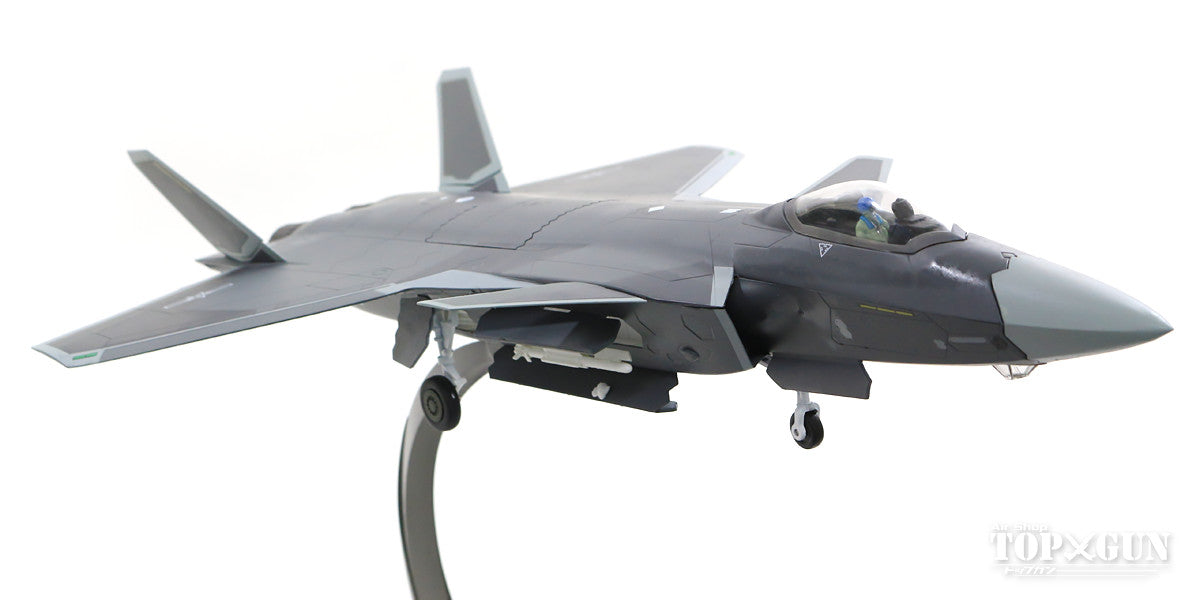 China Aviation Industry J-20 (J-20) Chinese Air Force 1/48 [AF0165]