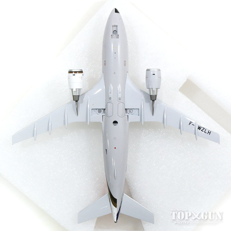 B-Models A310 Airbus Prototype No. 1 (Lufthansa/Swiss Air B-Models A310 Airbus Prototype No. 1 (Lufthansa/Swiss Air