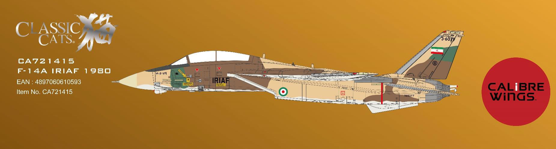 F-14A Islamic Republic of Iran Air Force 1980 1/72 [CA721415]