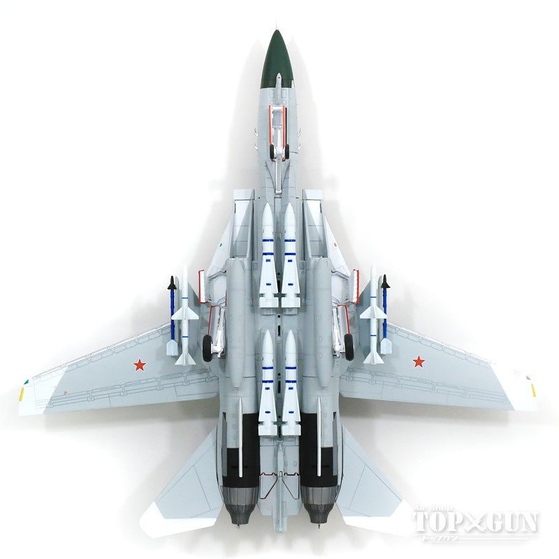 F-14A US Navy 126th Fighter Squadron "Bandits" Virtual Enemy Aircraft Camouflage 1991 #159855/#31 1/72 (Clean Paint Version) [CA72TP01]