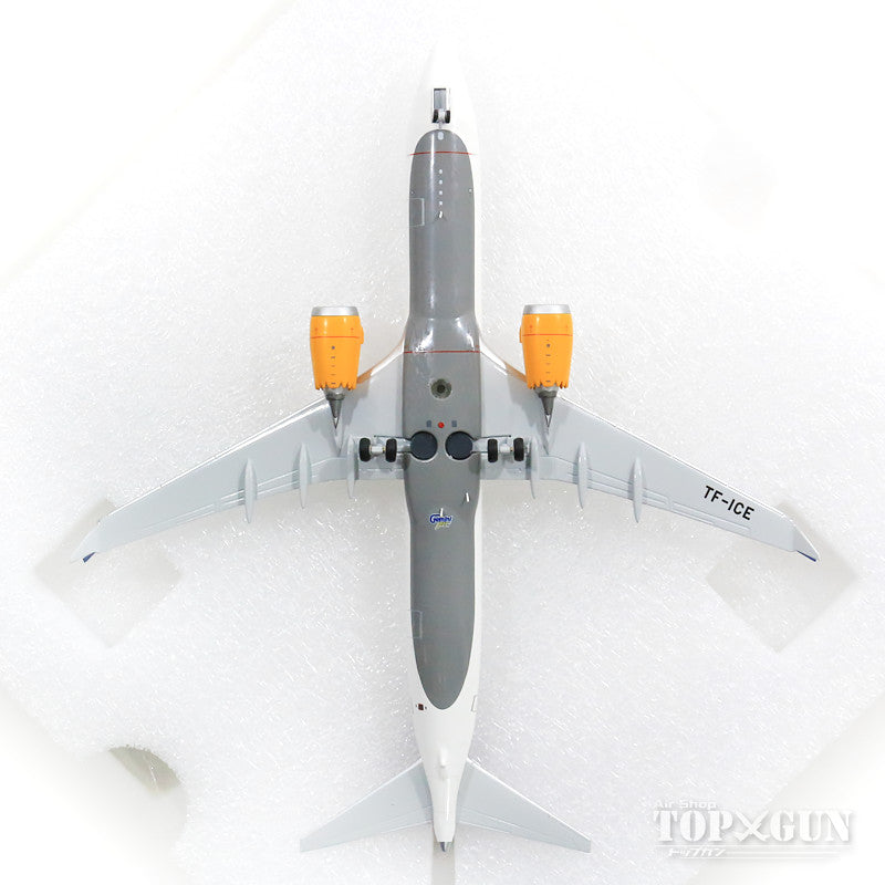 737 MAX 8 Icelandair new paint TC-ICE 1/200 *Made of metal [G2ICE733]