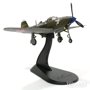 Hobby Master P-39Nエアラコブラ ソビエト空軍 第100親衛戦闘連隊