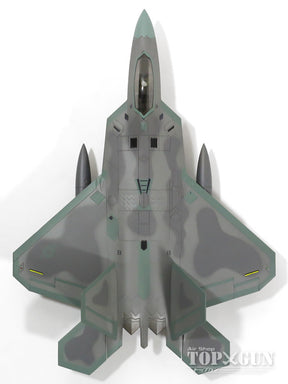 F-22Aラプター アメリカ空軍 第49戦闘航空団 第8飛行隊 ホロマン基地 11年 #04-4078 1/72 [HA2813]