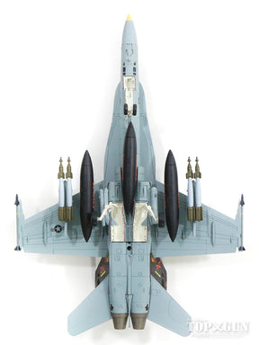 Hobby Master F/A-18D（複座型） アメリカ海兵隊 第224海兵全天候戦闘攻撃飛行隊 「ベンガルズ」 岩国基地 09年  WK01/#164699 1/