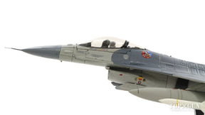 F-16C（ブロック50P） アメリカ空軍 第20戦闘航空団 第77戦闘飛行隊 特別塗装 「ワイルドウィーゼル50周年」 ショー基地・サウスカロライナ州 15年 #92-3920 1/72 [HA3849]