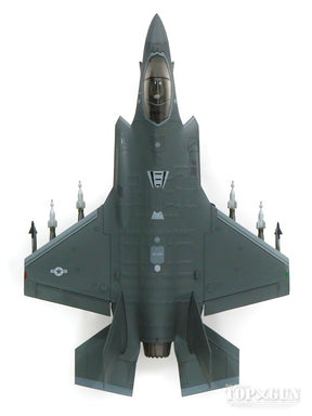 Hobby Master F-35A ライトニングⅡ アメリカ空軍 第134戦闘飛行隊 1/72 [HA4421]